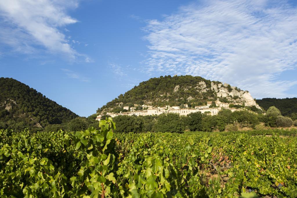 Séguret Hotellerie Du Domaine De Cabasse מראה חיצוני תמונה