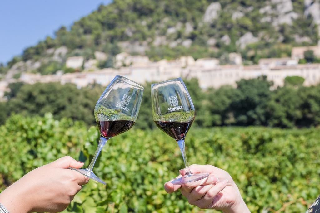 Séguret Hotellerie Du Domaine De Cabasse מראה חיצוני תמונה