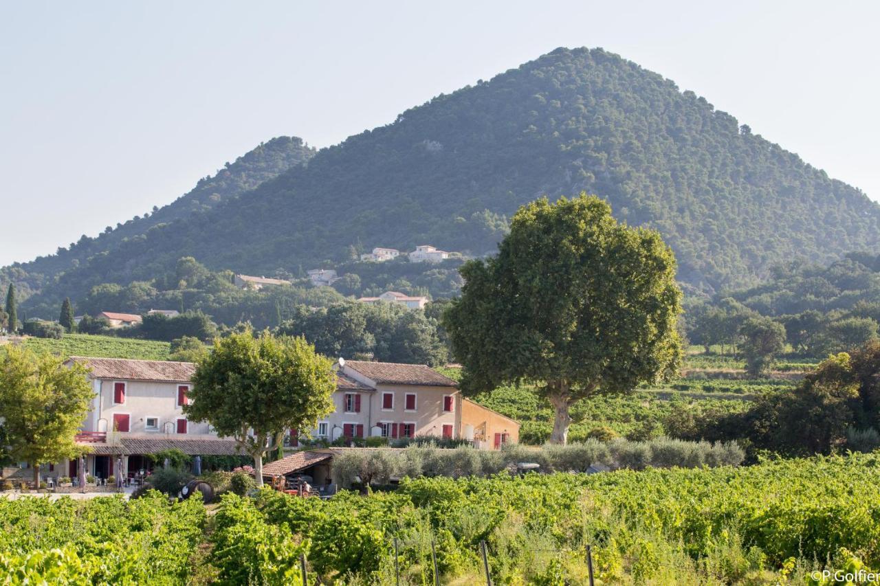 Séguret Hotellerie Du Domaine De Cabasse מראה חיצוני תמונה